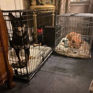 Meet your Posher, Mercedes